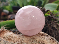 Polished Rose Quartz Spheres x 6 From Ambatondrazaka, Madagascar