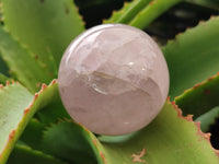 Polished Rose Quartz Spheres x 6 From Ambatondrazaka, Madagascar