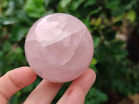 Polished Rose Quartz Spheres x 6 From Ambatondrazaka, Madagascar