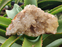 Natural Limonite Quartz Clusters x 2 From Solwezi, Zambia