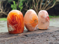 Polished Flower Agate Standing Free Forms x 6 From Antsahalova, Madagascar