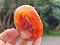 Polished Flower Agate Standing Free Forms x 6 From Antsahalova, Madagascar