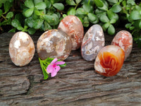 Polished Flower Agate Standing Free Forms x 6 From Antsahalova, Madagascar