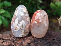 Polished Flower Agate Standing Free Forms x 6 From Antsahalova, Madagascar