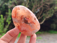 Polished Flower Agate Standing Free Forms x 6 From Antsahalova, Madagascar