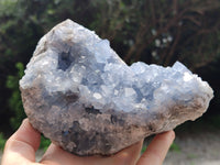 Natural Celestite Geode Specimen x 1 From Sakoany, Madagascar