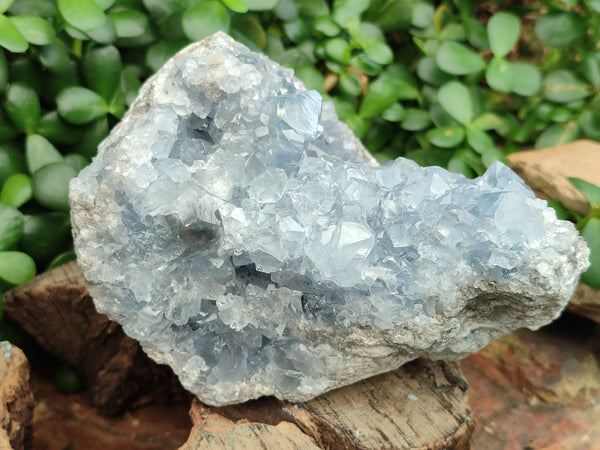 Natural Celestite Geode Specimen x 1 From Sakoany, Madagascar