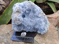 Natural Celestite Geode Specimen x 1 From Sakoany, Madagascar