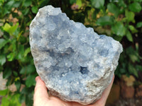 Natural Celestite Geode Specimen x 1 From Sakoany, Madagascar