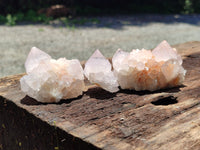 Natural Cactus Flower Spirit Quartz Clusters x 12 From South Africa