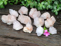 Natural Cactus Flower Spirit Quartz Clusters x 12 From South Africa