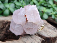 Natural Cactus Flower Spirit Quartz Clusters x 12 From South Africa