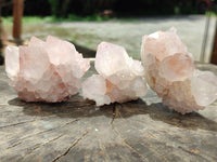 Natural Cactus Flower Spirit Quartz Clusters x 12 From South Africa