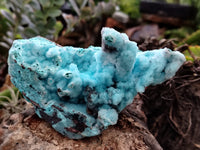 Natural Drusy Coated Chrysocolla Specimen x 1 From Congo