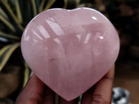 Polished Rose Quartz Gemstone Hearts x 5 From Ambatondrazaka, Madagascar