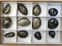 Polished Pharaoh Stone Palm Stones x 12 From Zimbabwe