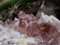 Natural Red Hematoid Quartz Clusters x 2 From Karoi, Zimbabwe