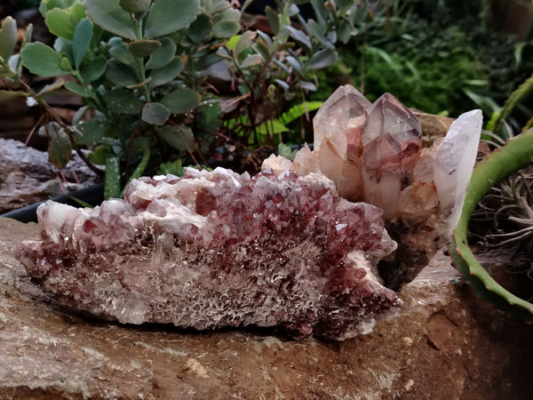 Natural Red Hematoid Quartz Clusters x 2 From Karoi, Zimbabwe