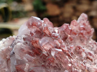 Natural Red Hematoid Quartz Clusters x 2 From Karoi, Zimbabwe