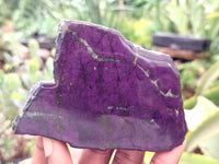 Polished On One Side Purpurite Specimens x 6 From Namibia