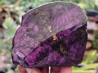 Polished On One Side Purpurite Specimens x 6 From Namibia