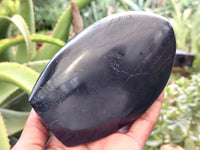 Polished Black Basalt Standing Free Forms x 2 From Antsirabe, Madagascar