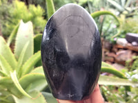 Polished Black Basalt Standing Free Forms x 2 From Antsirabe, Madagascar