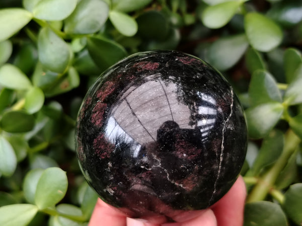 Polished Iolite Spheres x 6 From Ambatofinandrahana, Madagascar