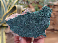 Natural Botryoidal Malachite Specimens x 6 From Congo