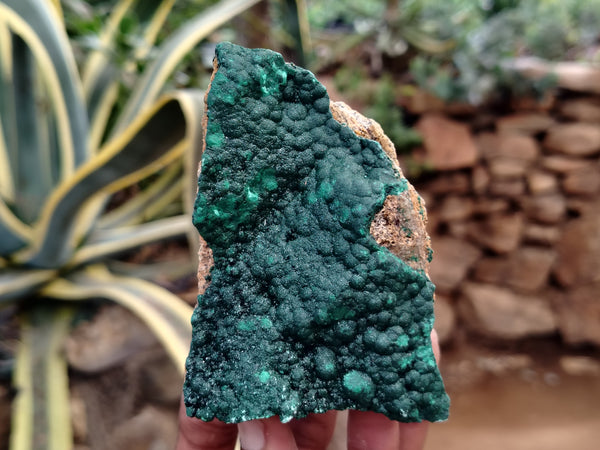 Natural Botryoidal Malachite Specimens x 6 From Congo