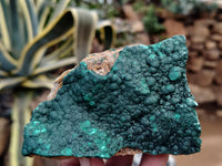 Natural Botryoidal Malachite Specimens x 6 From Congo