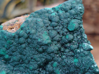 Natural Botryoidal Malachite Specimens x 6 From Congo