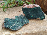 Natural Botryoidal Malachite Specimens x 6 From Congo