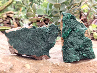 Natural Botryoidal Malachite Specimens x 6 From Congo