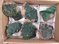 Natural Botryoidal Malachite Specimens x 6 From Congo