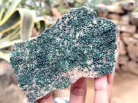 Natural Botryoidal Malachite Specimens x 6 From Congo