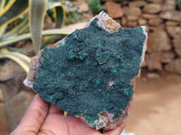 Natural Botryoidal Malachite Specimens x 6 From Congo