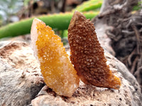 Natural Golden Solar Spirit Quartz Clusters x 35 From Boekenhouthoek, South Africa