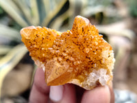 Natural Golden Solar Spirit Quartz Clusters x 35 From Boekenhouthoek, South Africa