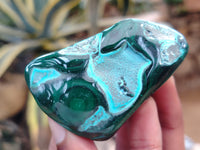 Polished Malacolla Free Forms x 12 From Congo