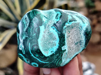 Polished Malacolla Free Forms x 12 From Congo