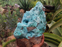 Natural Drusy Coated Chrysocolla Specimen x 1 From Congo