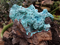 Natural Drusy Coated Chrysocolla Specimen x 1 From Congo