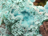 Natural Drusy Coated Chrysocolla Specimen x 1 From Congo