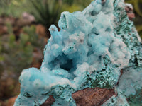 Natural Drusy Coated Chrysocolla Specimen x 1 From Congo