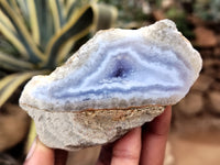 Polished Blue Lace Agate Geodes x 12 From Malawi