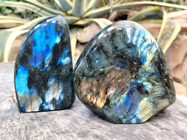 Polished Labradorite Standing Free Forms x 2 From Tulear, Madagascar