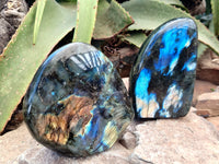 Polished Labradorite Standing Free Forms x 2 From Tulear, Madagascar