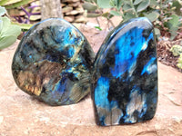 Polished Labradorite Standing Free Forms x 2 From Tulear, Madagascar