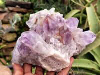 Natural Jacaranda Amethyst Quartz Clusters x 2 from Mumbwa, Zambia